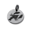 Pendentif SIGNES DU ZODIAQUE en acier inoxydable – Image 6