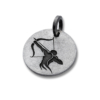 Pendentif SIGNES DU ZODIAQUE en acier inoxydable – Image 10