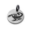 Pendentif SIGNES DU ZODIAQUE en acier inoxydable – Image 12