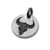 Pendentif SIGNES DU ZODIAQUE en acier inoxydable – Image 16