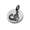 Pendentif SIGNES DU ZODIAQUE en acier inoxydable – Image 20